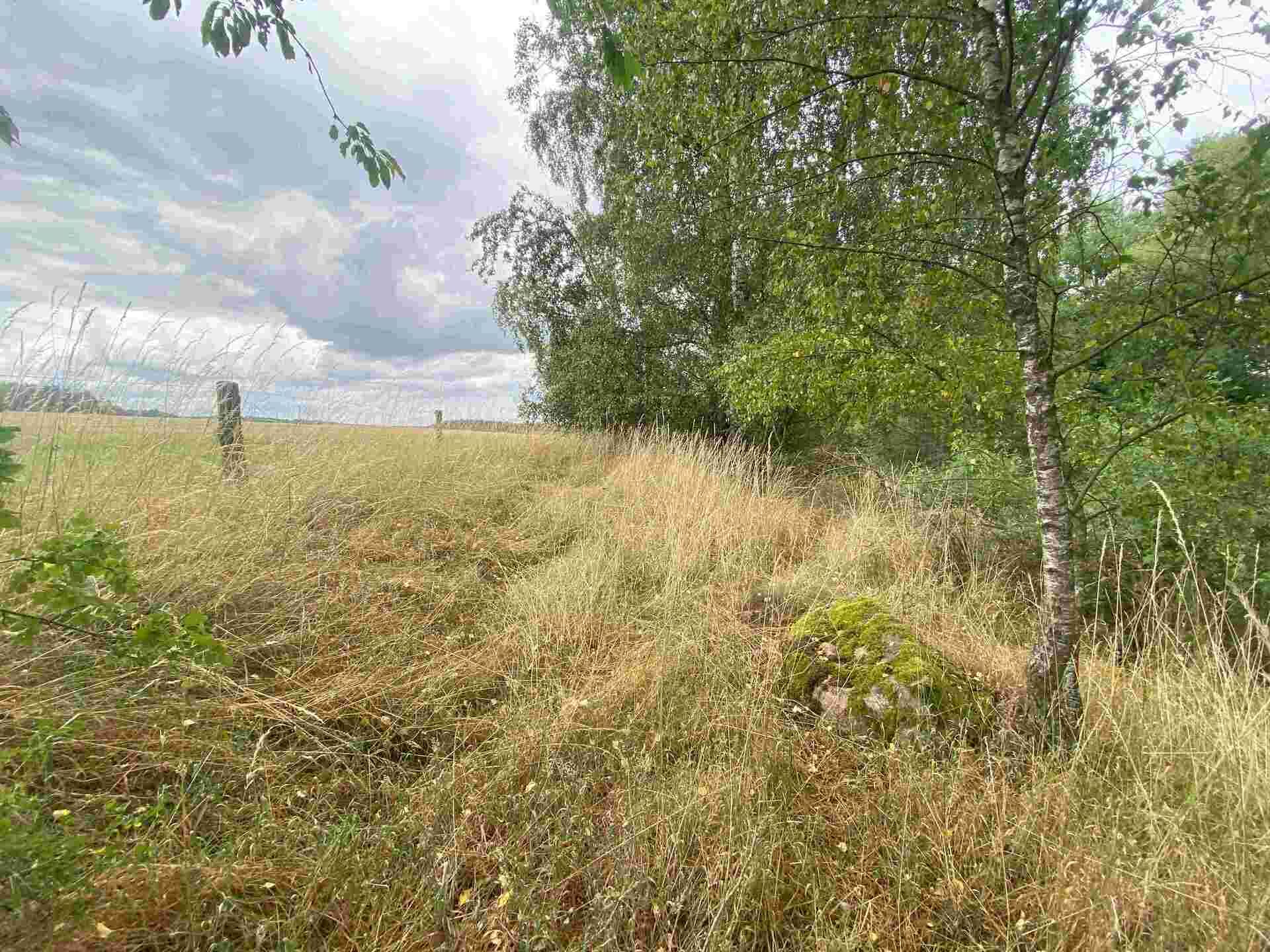 prodej pozemků Tuněchody u Stříbra