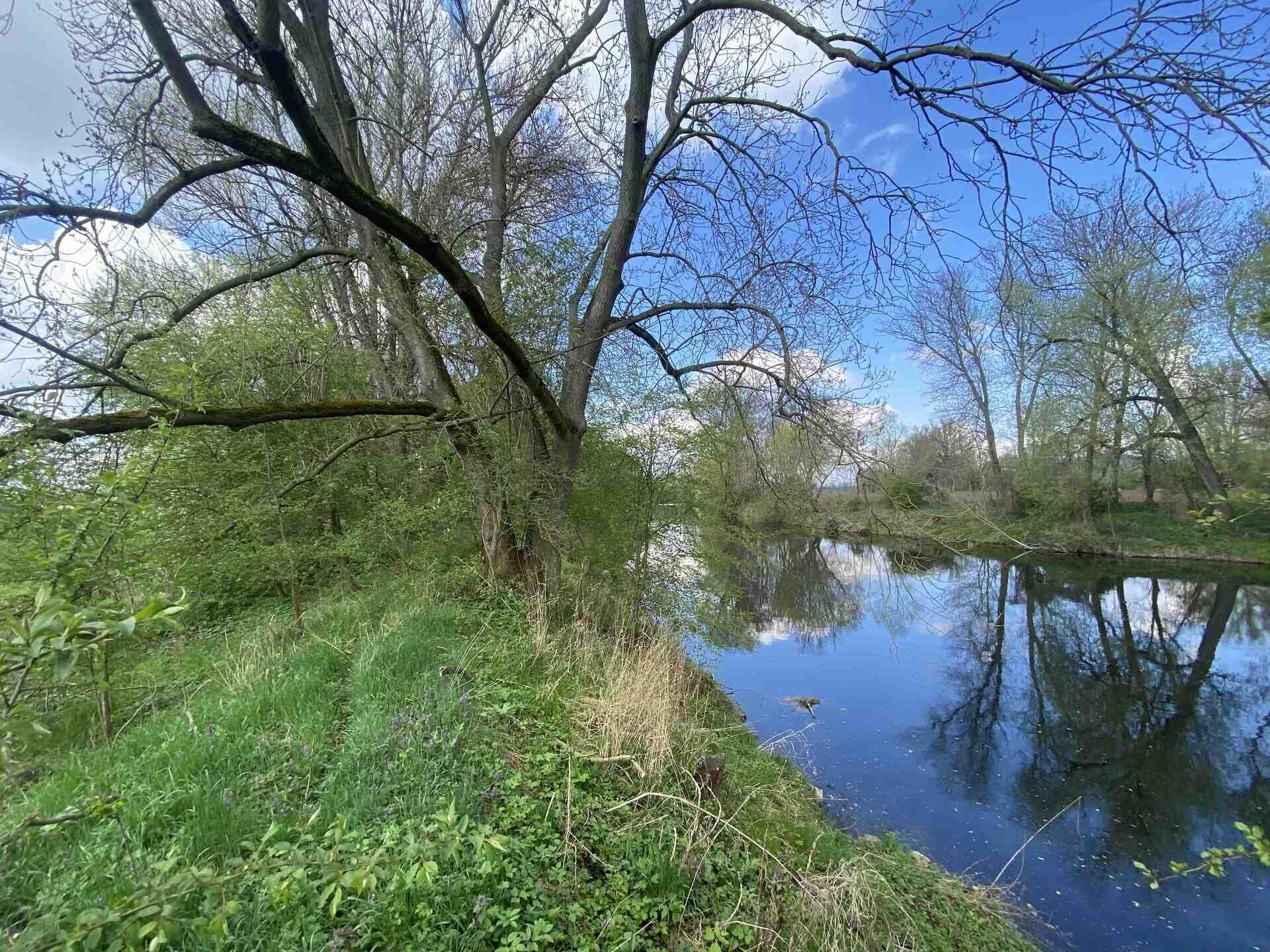 prodej pozemků Černčice u Loun
