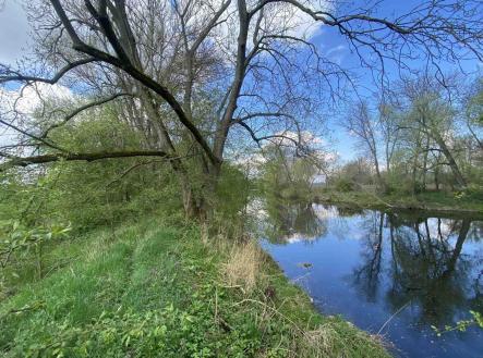 Prodej pozemku, ostatní, 621 m²
