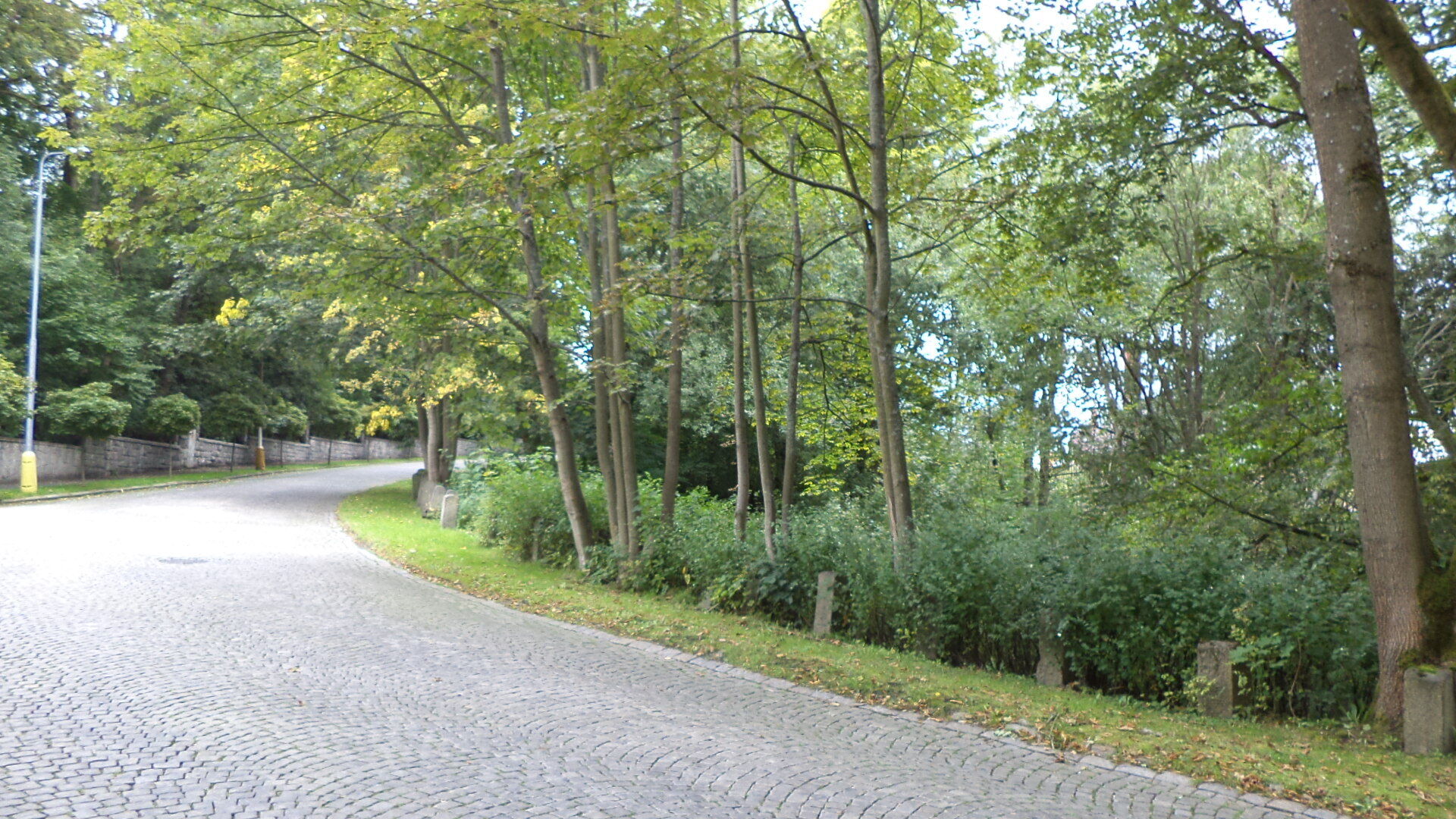 prodej pozemků k.ú. Aš