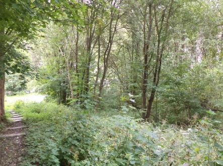 Prodej pozemku, ostatní, 1 755 m²