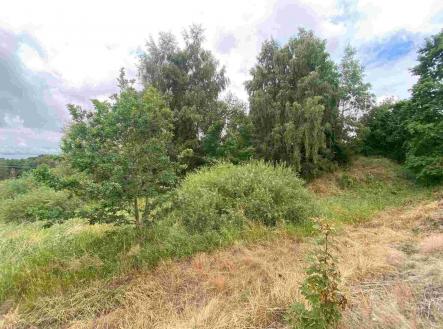 Prodej pozemku, ostatní, 2 675 m²