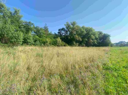 Prodej pozemku pro bydlení, 2 722 m²