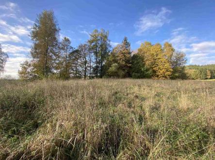 Prodej pozemku pro bydlení, 3 207 m²