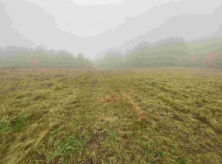 Prodej pozemku, zemědělská půda, 22 839 m²