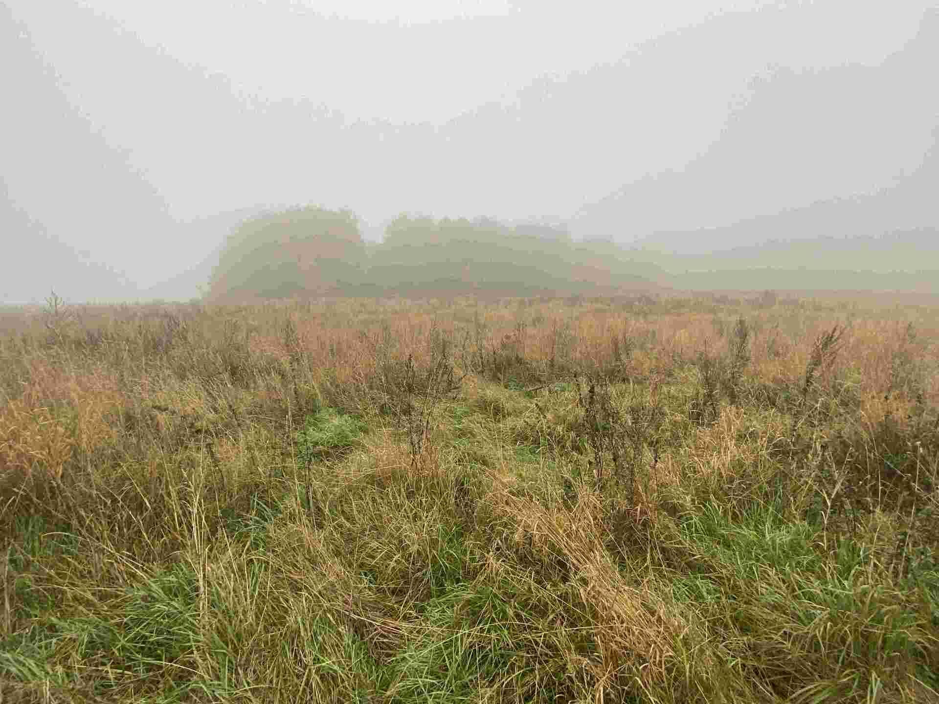 prodej pozemku k.ú. Verneřice