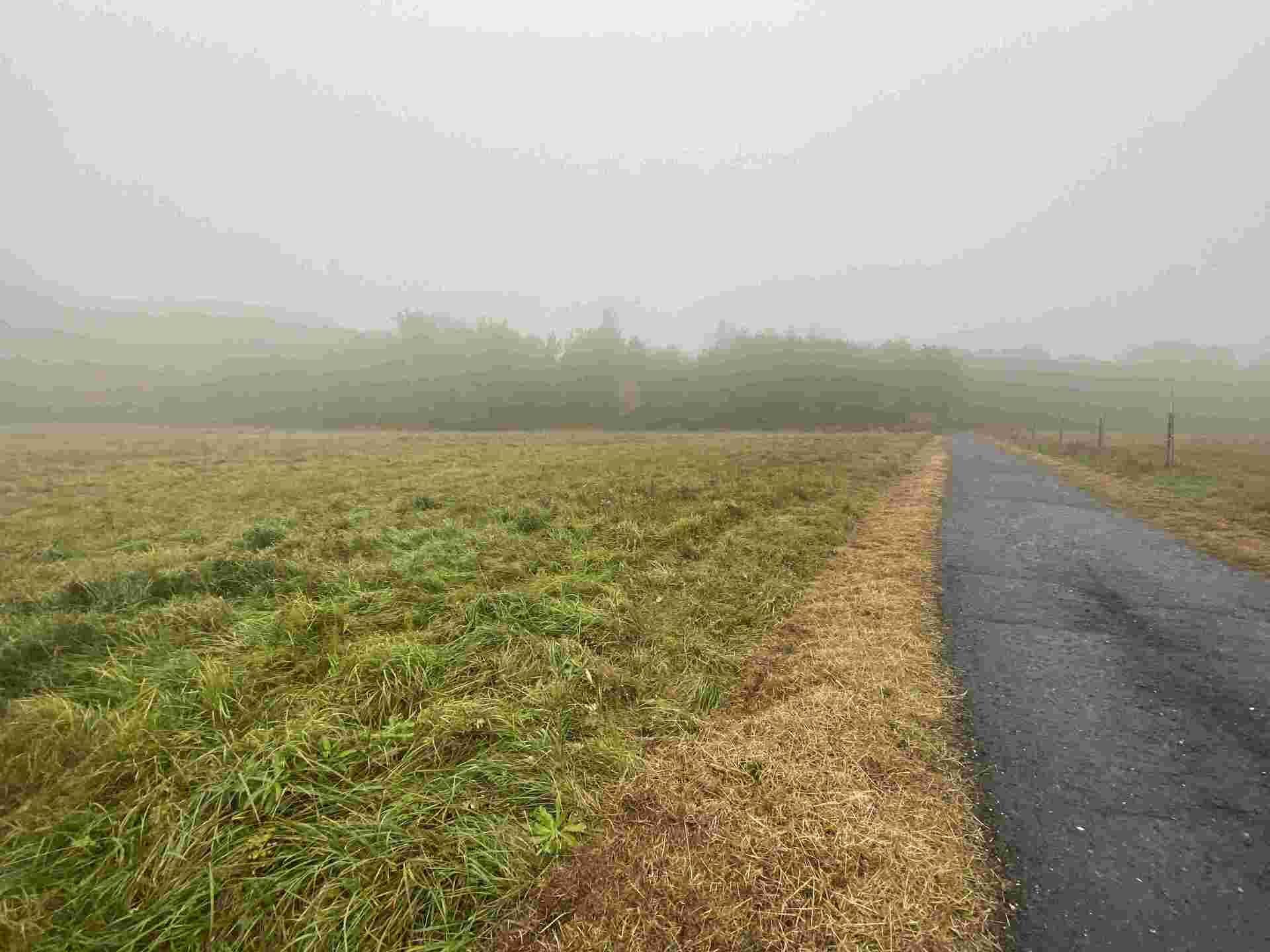 prodej pozemku Verneřice