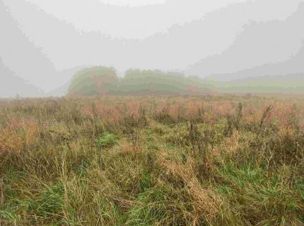 Prodej pozemku, zemědělská půda, 22 839 m²