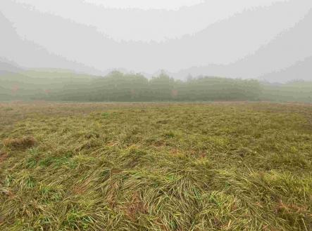 Prodej pozemku, zemědělská půda, 22 839 m²