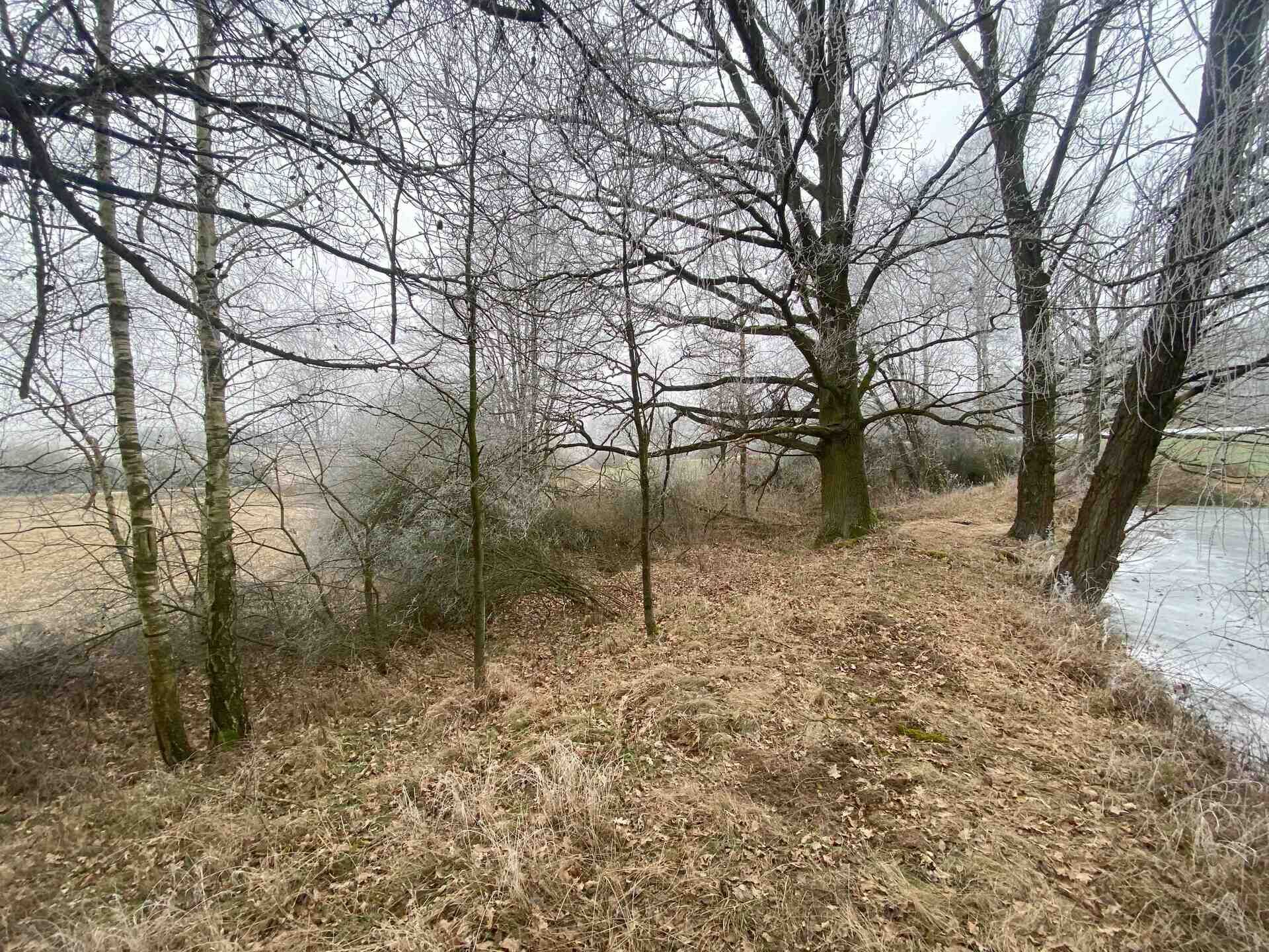 prodej pozemků k.ú. Slatina u Horažďovic