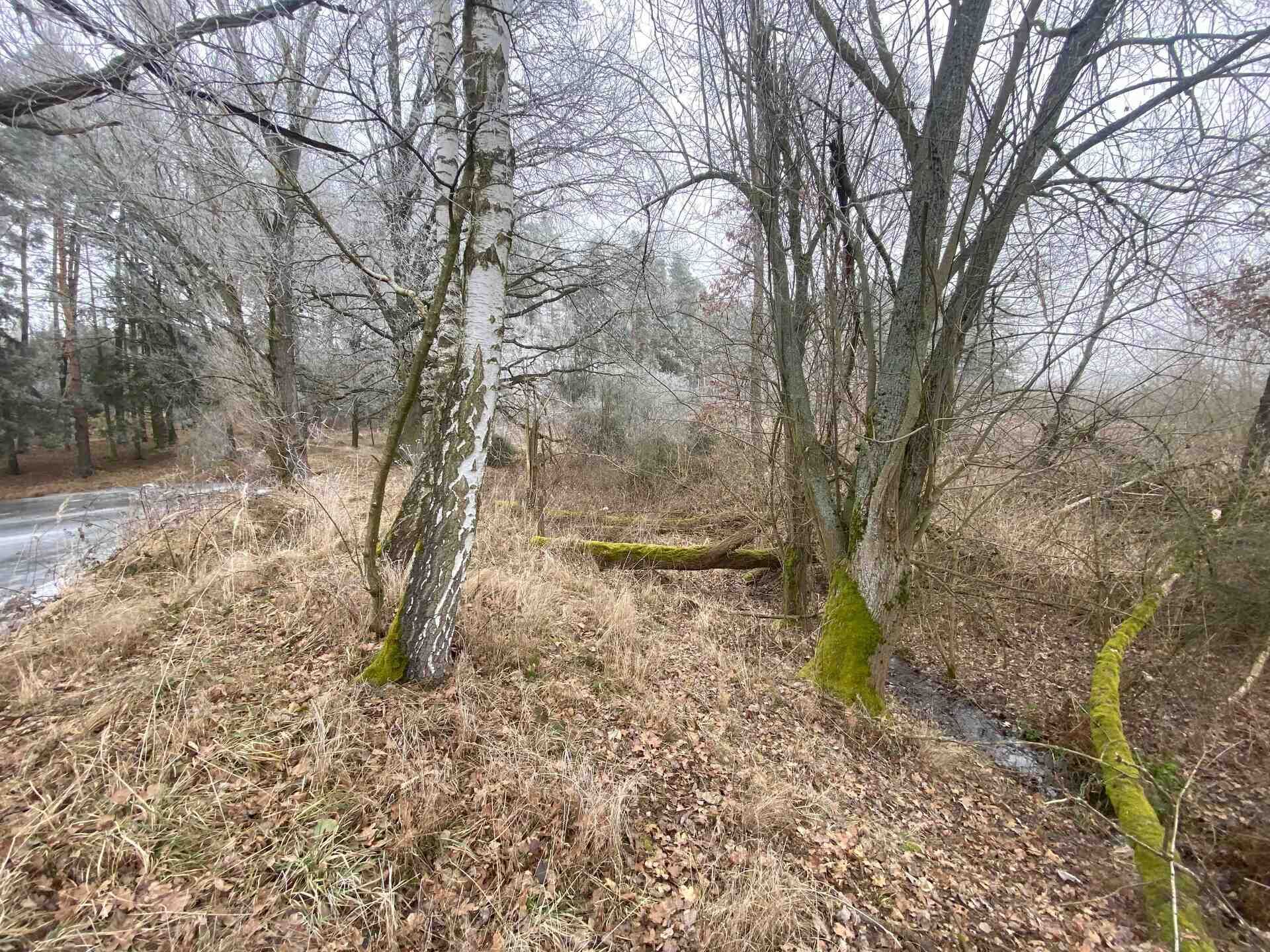 prodej pozemků k.ú. Slatina u Horažďovic