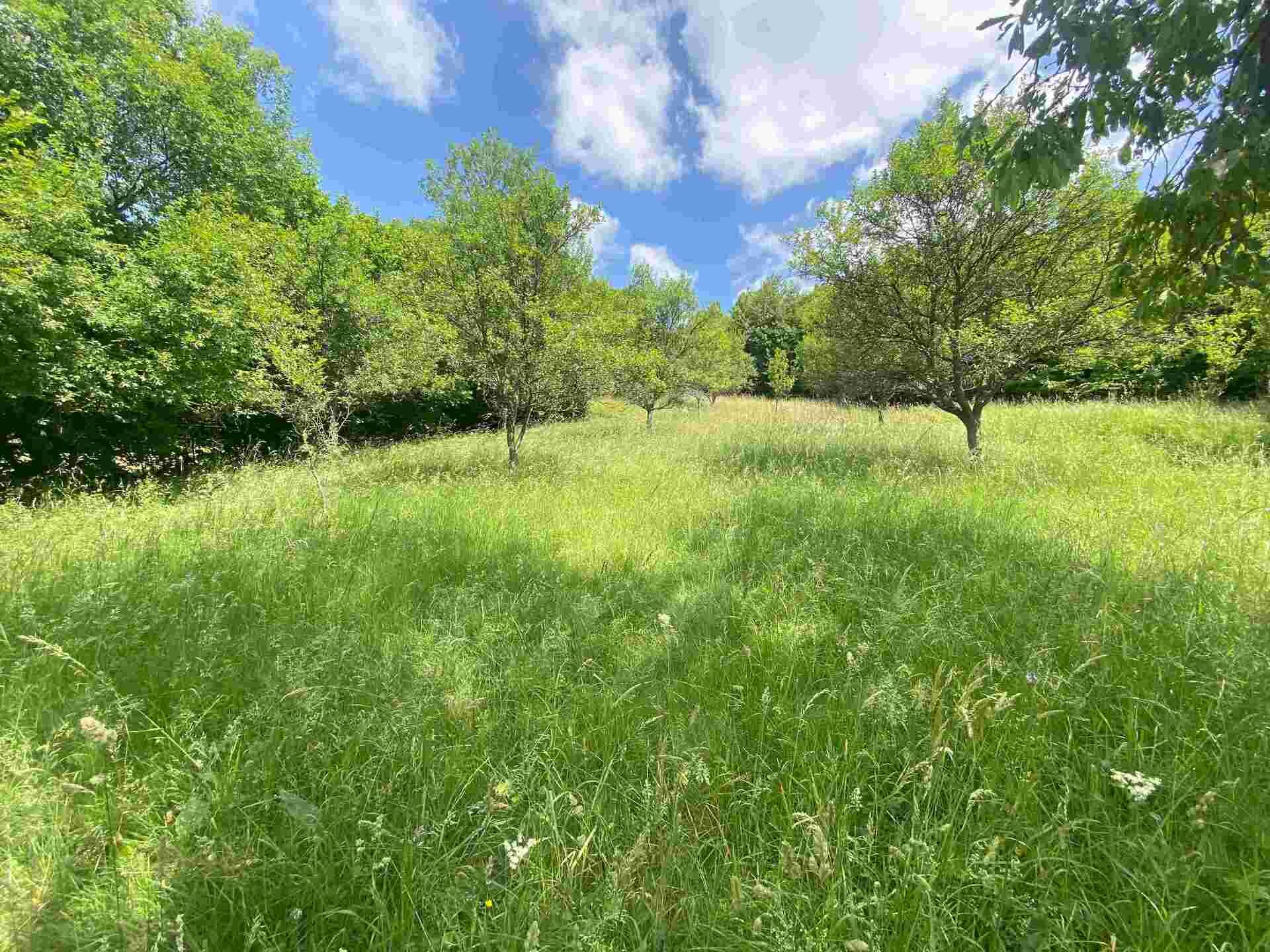 Prodej pozemku Nedašova Lhota