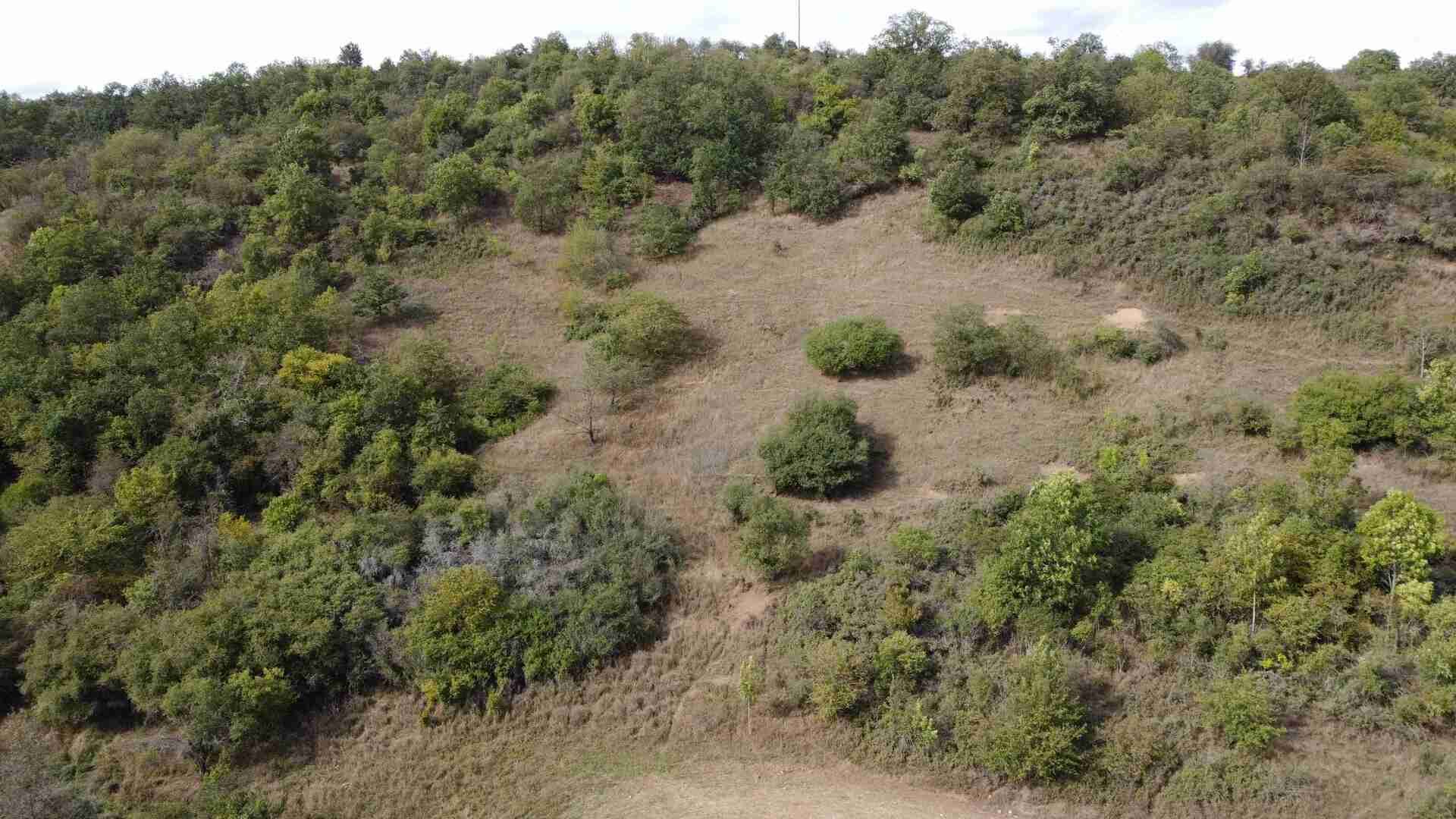 prodej pozemku k.ú. Stadice