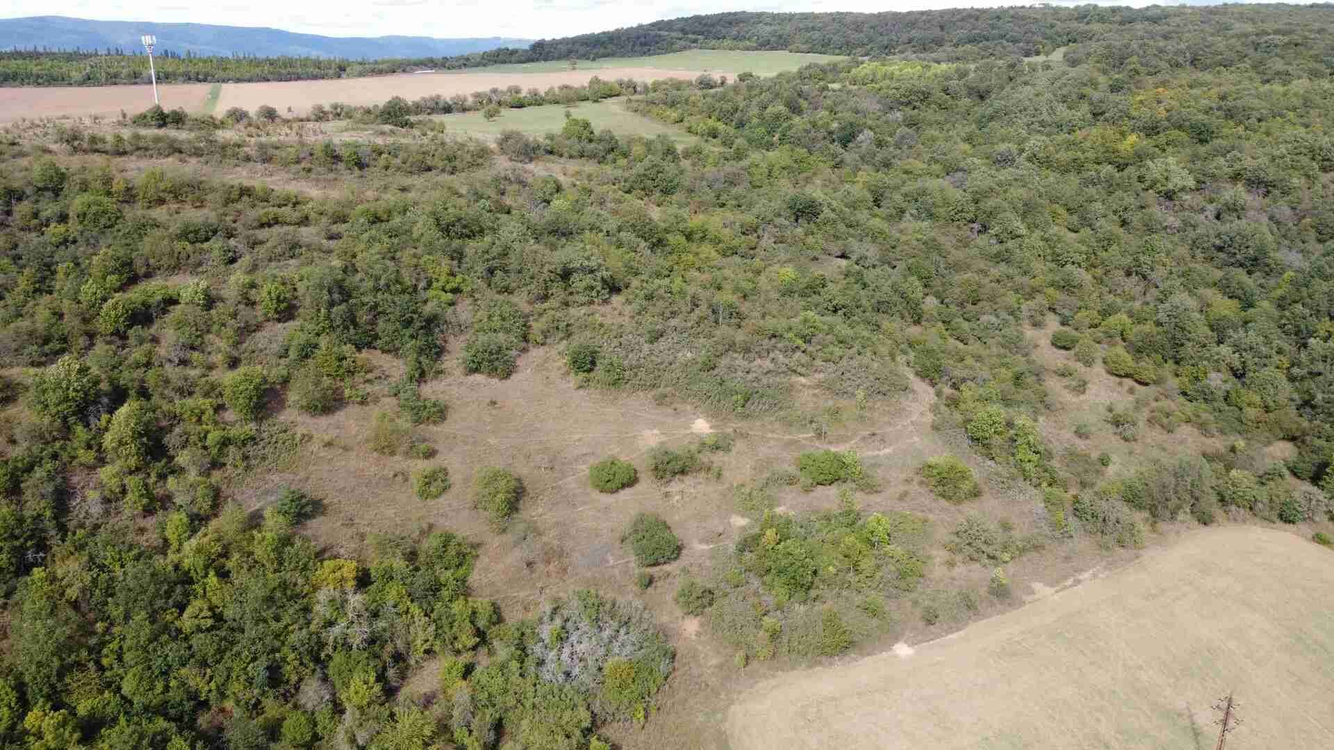 prodej pozemku k.ú. Stadice