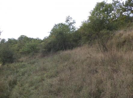 Prodej pozemku, zemědělská půda, 22 441 m²