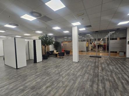 Pronájem obchodní prostor, 277 m²