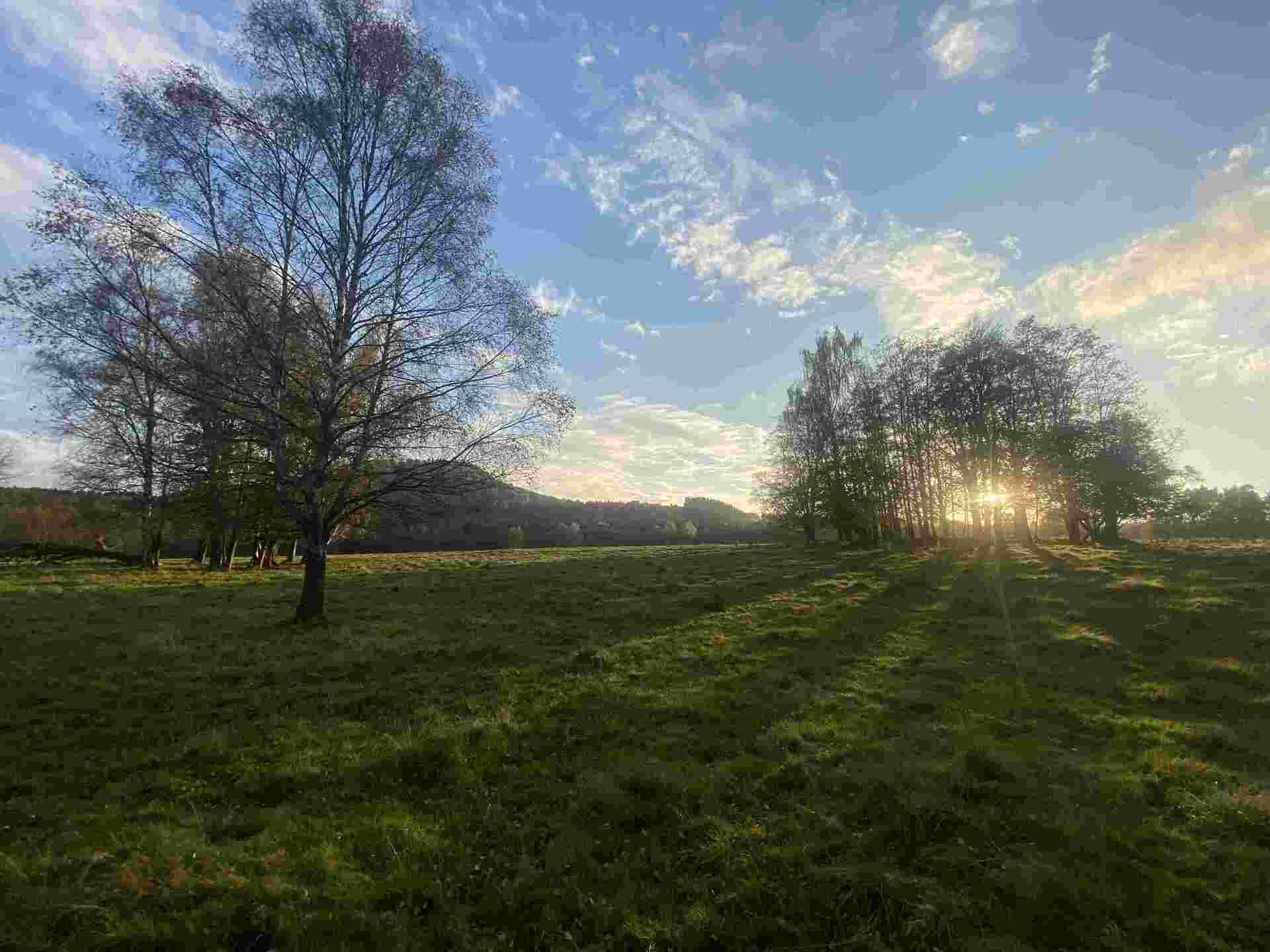 prodej pozemků k.ú. Trávník u Cvikova