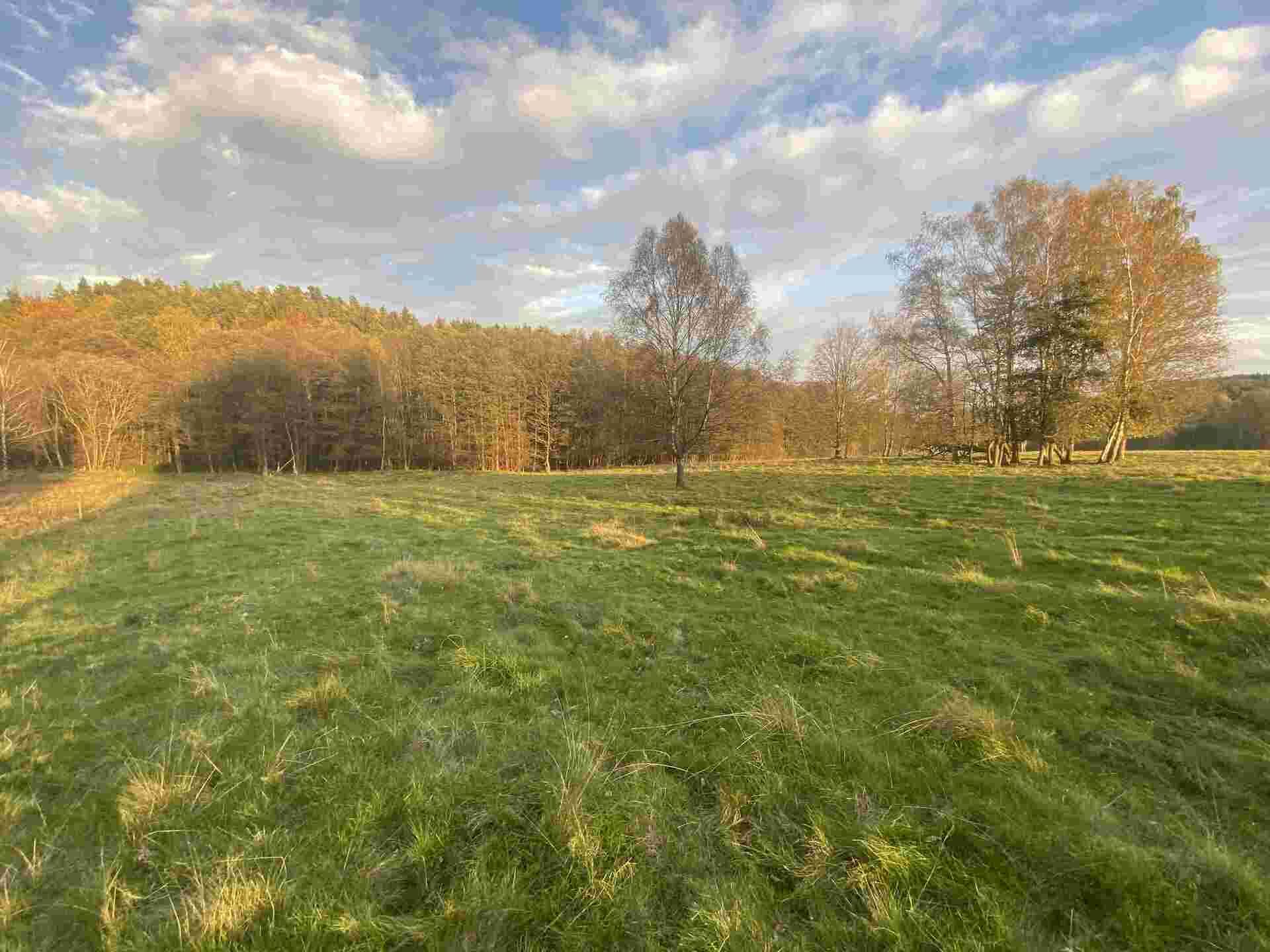 prodej pozemků k.ú. Trávník u Cvikova