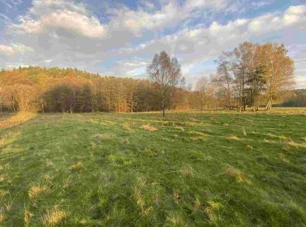 Prodej pozemku, zemědělská půda, 16 894 m²