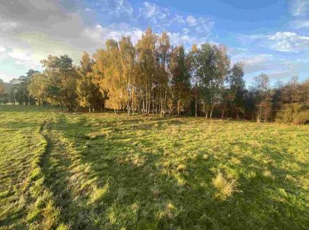 Prodej pozemku, zemědělská půda, 16 894 m²