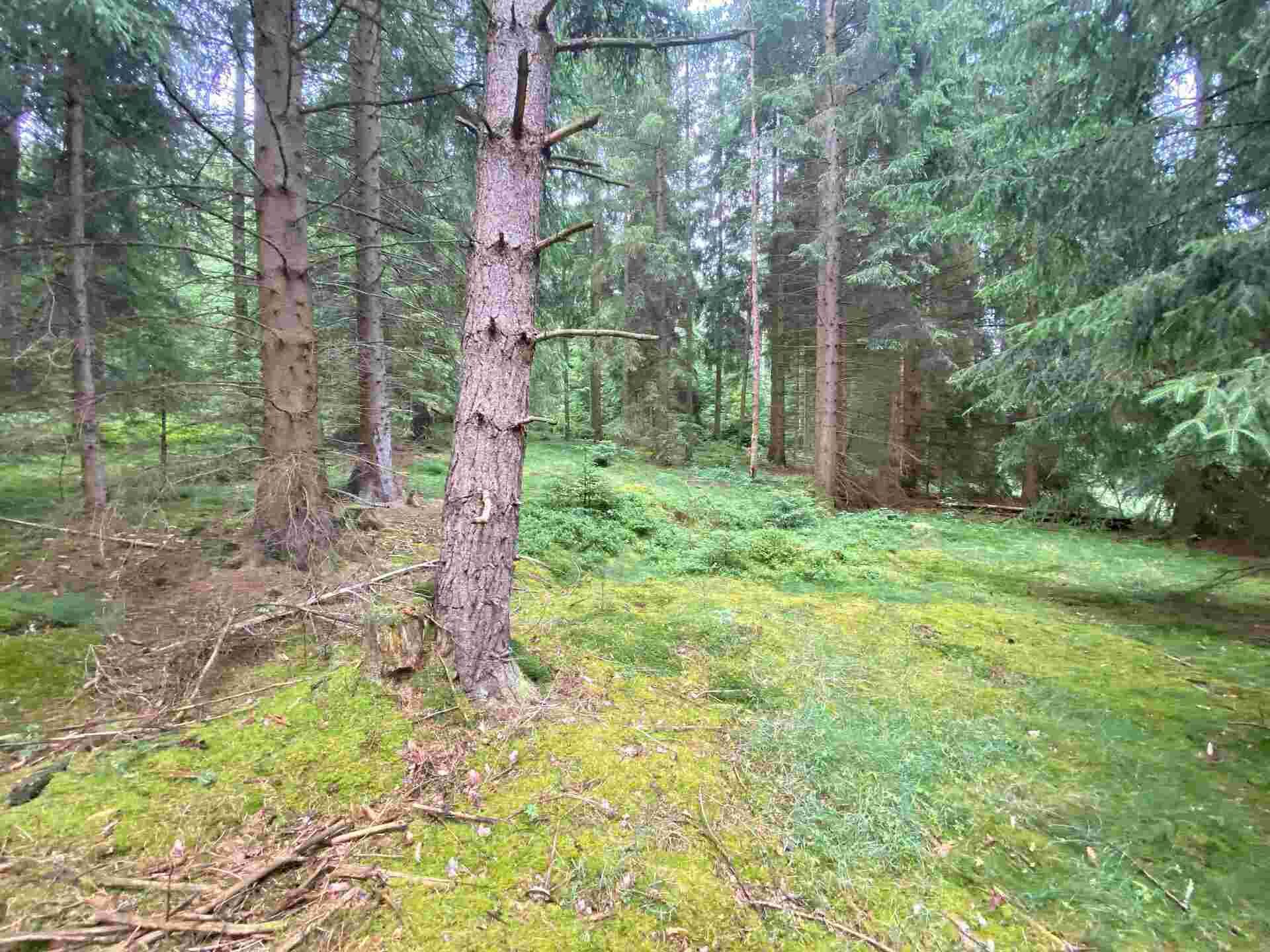 prodej pozemků k.ú. Újezd u Krásné