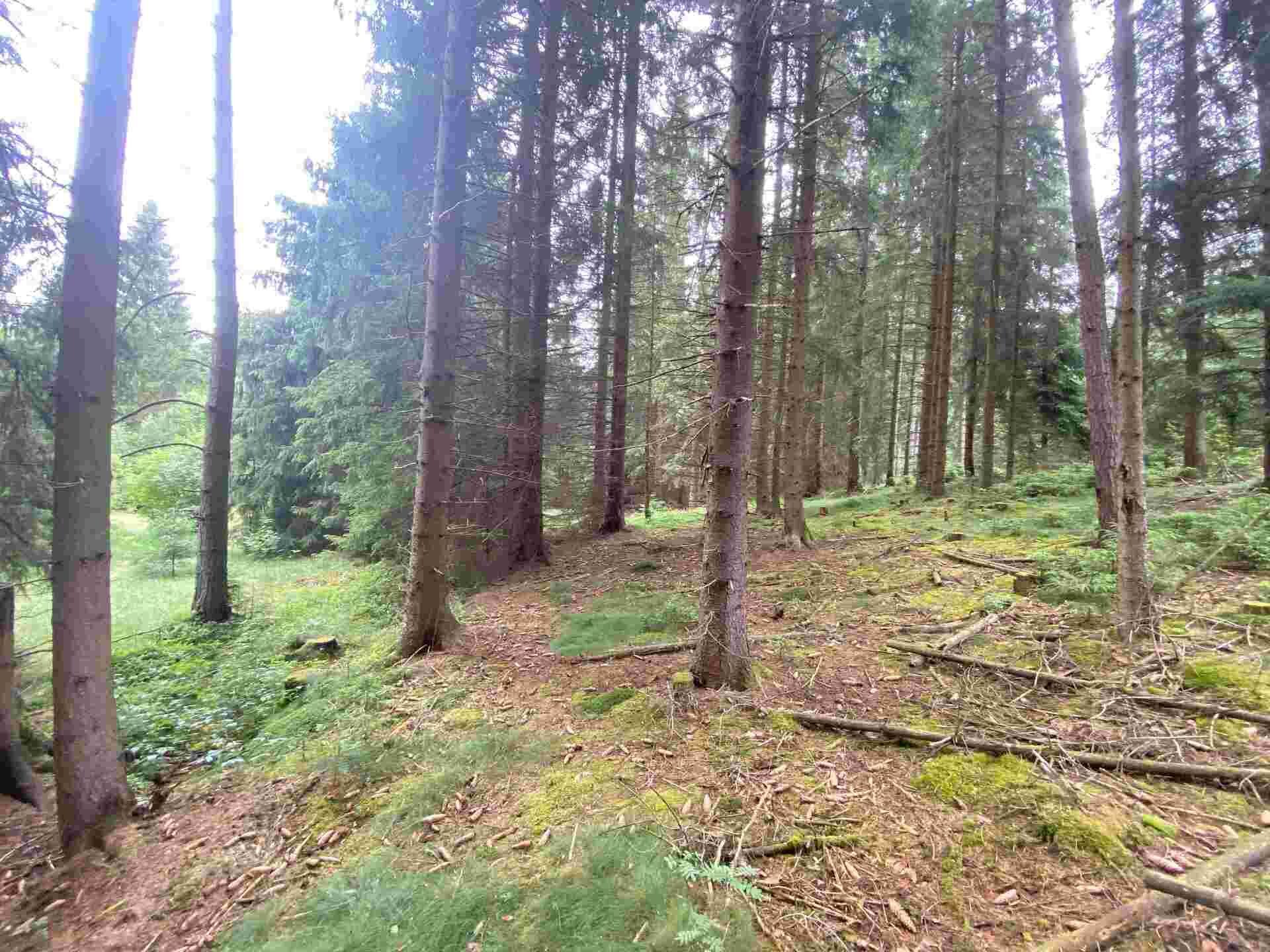 prodej pozemku Újezd u Krásné