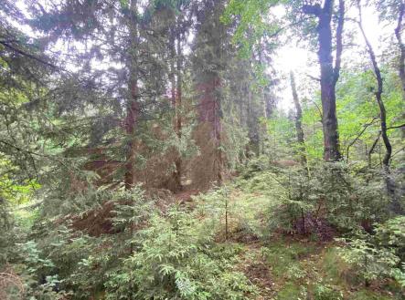 Prodej pozemku, zemědělská půda, 1 440 m² obrázek