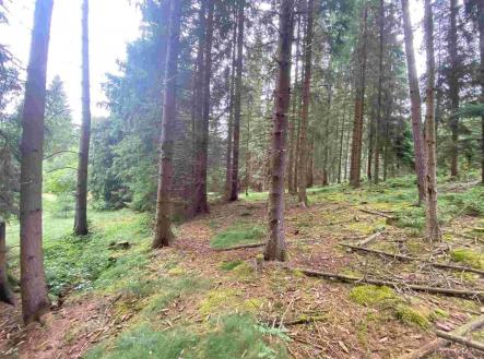 Prodej pozemku, zemědělská půda, 1 440 m²