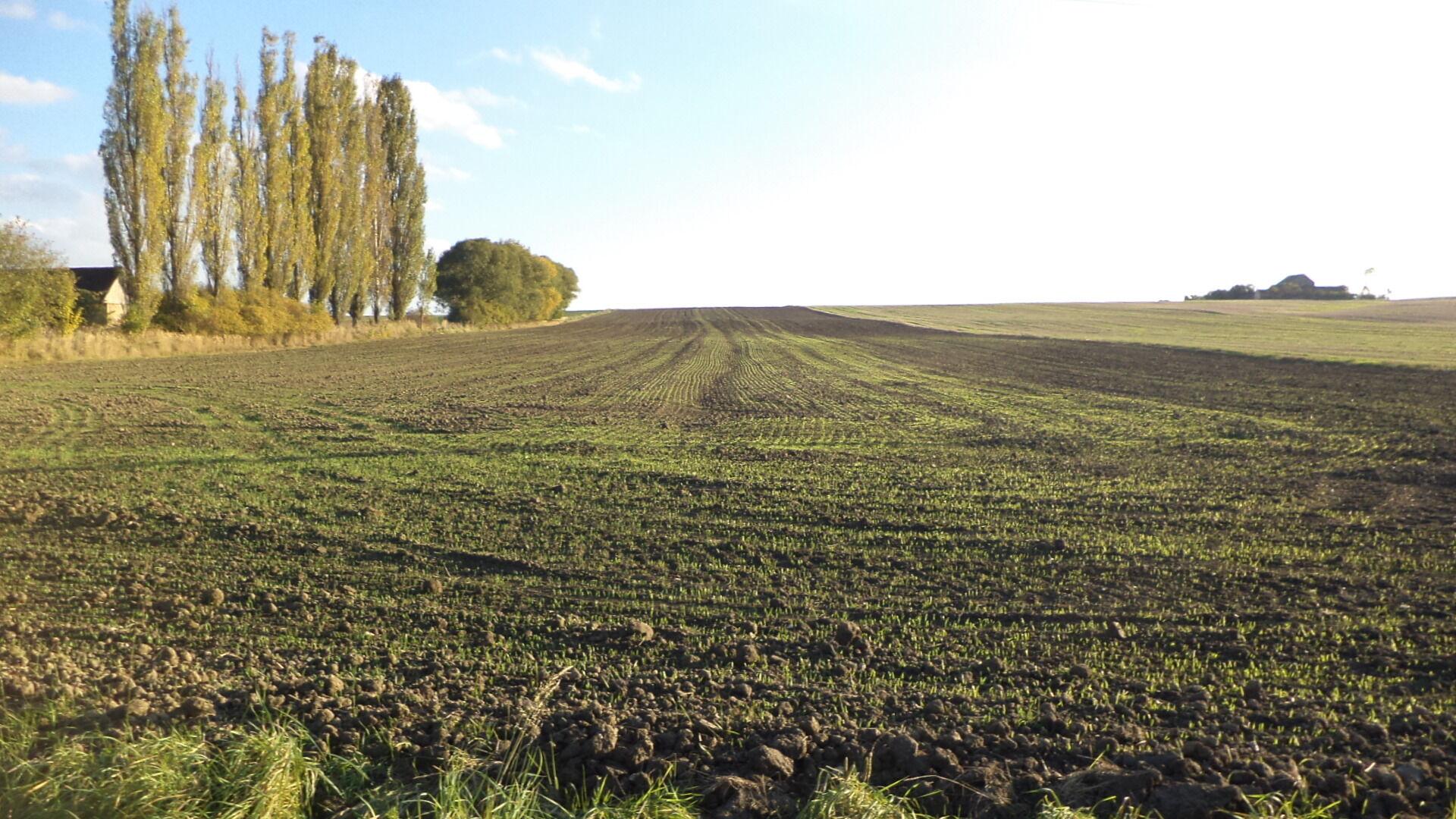 Dražba pozemku Údraž