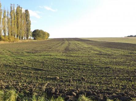 Prodej pozemku pro bydlení, 4 328 m²