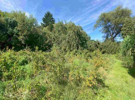 Prodej pozemku pro bydlení, 2 842 m²