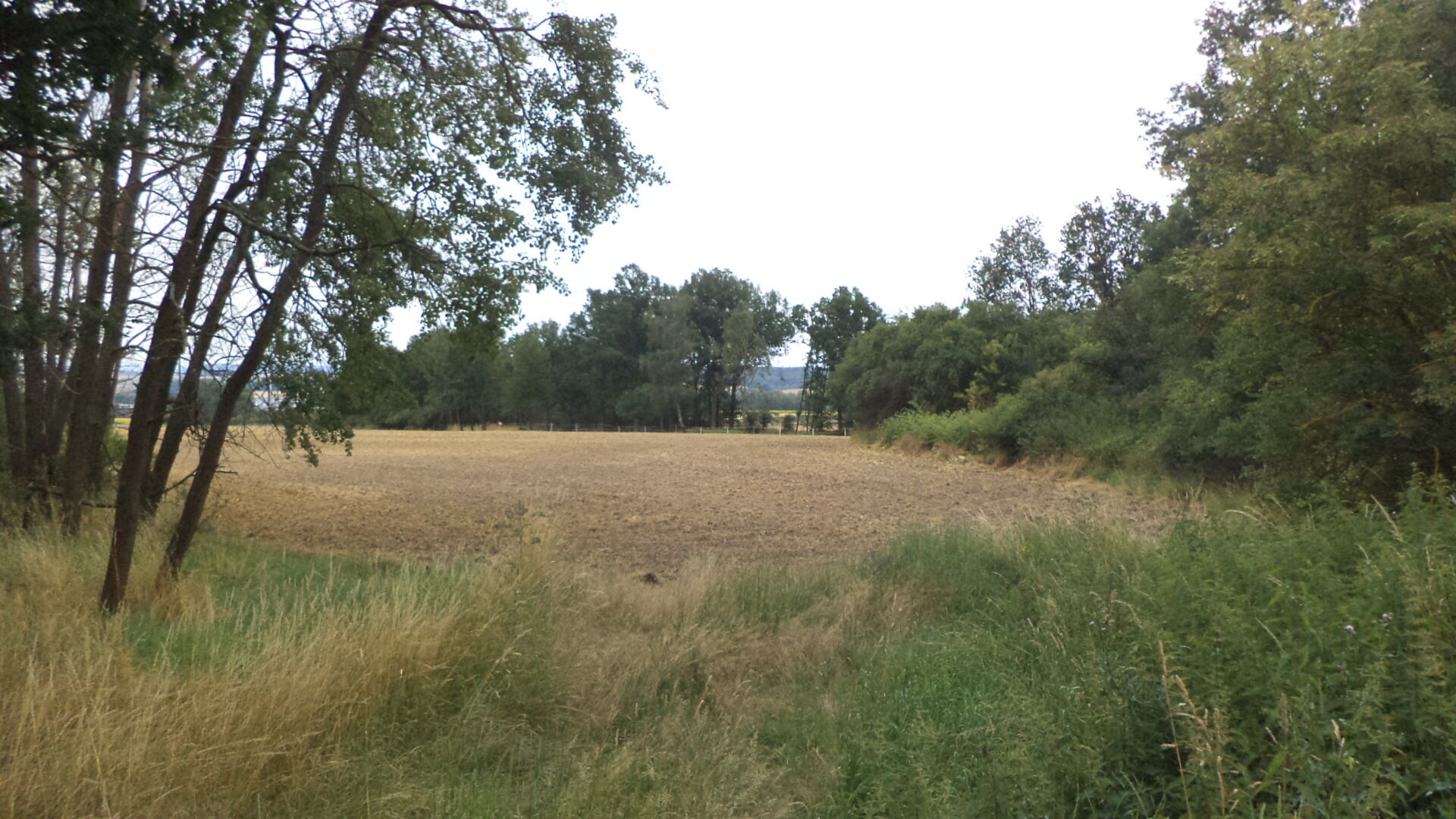 Prodej pozemku Vlkýš