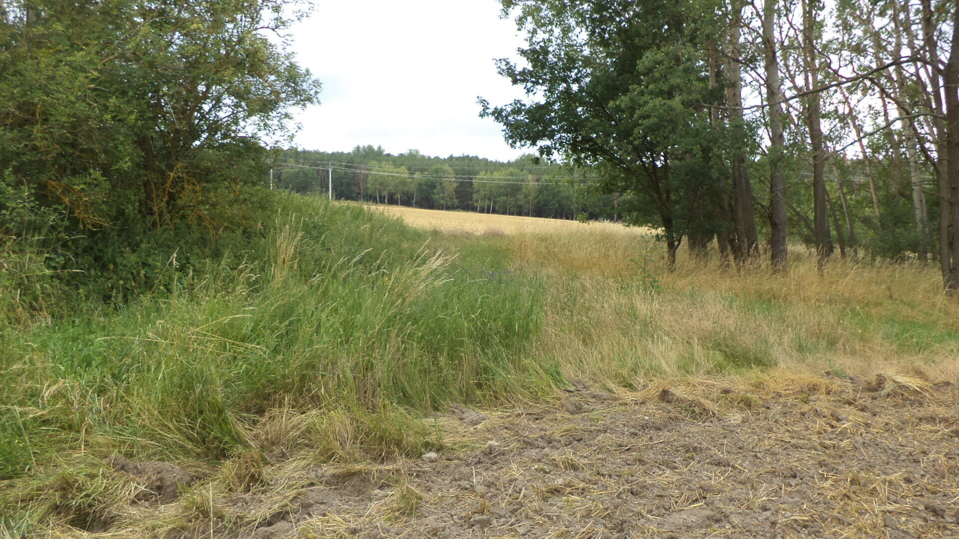 Prodej pozemku Vlkýš