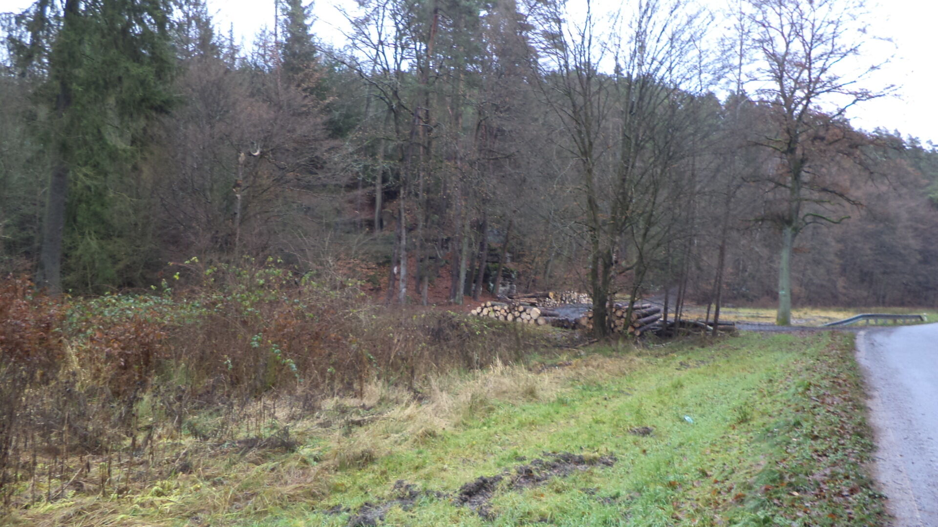 prodej pozemku k.ú. Žďár v Podbezdězí