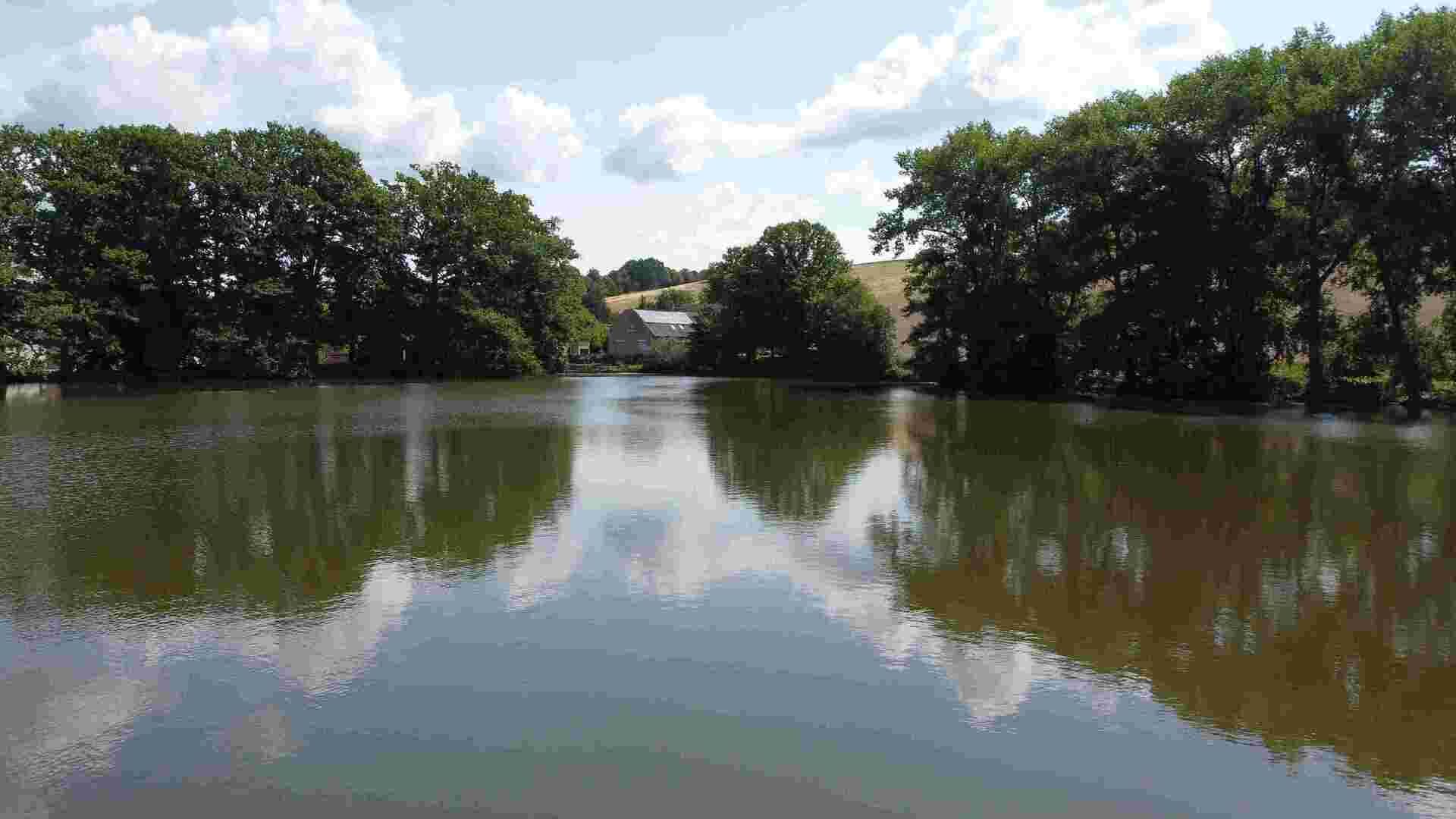 prodej rybníku k.ú. Chocomyšl