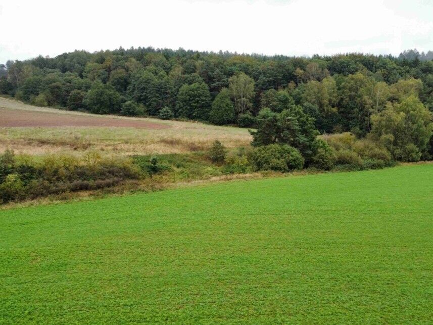 Prodej pozemků Kostelec nad Černými lesy
