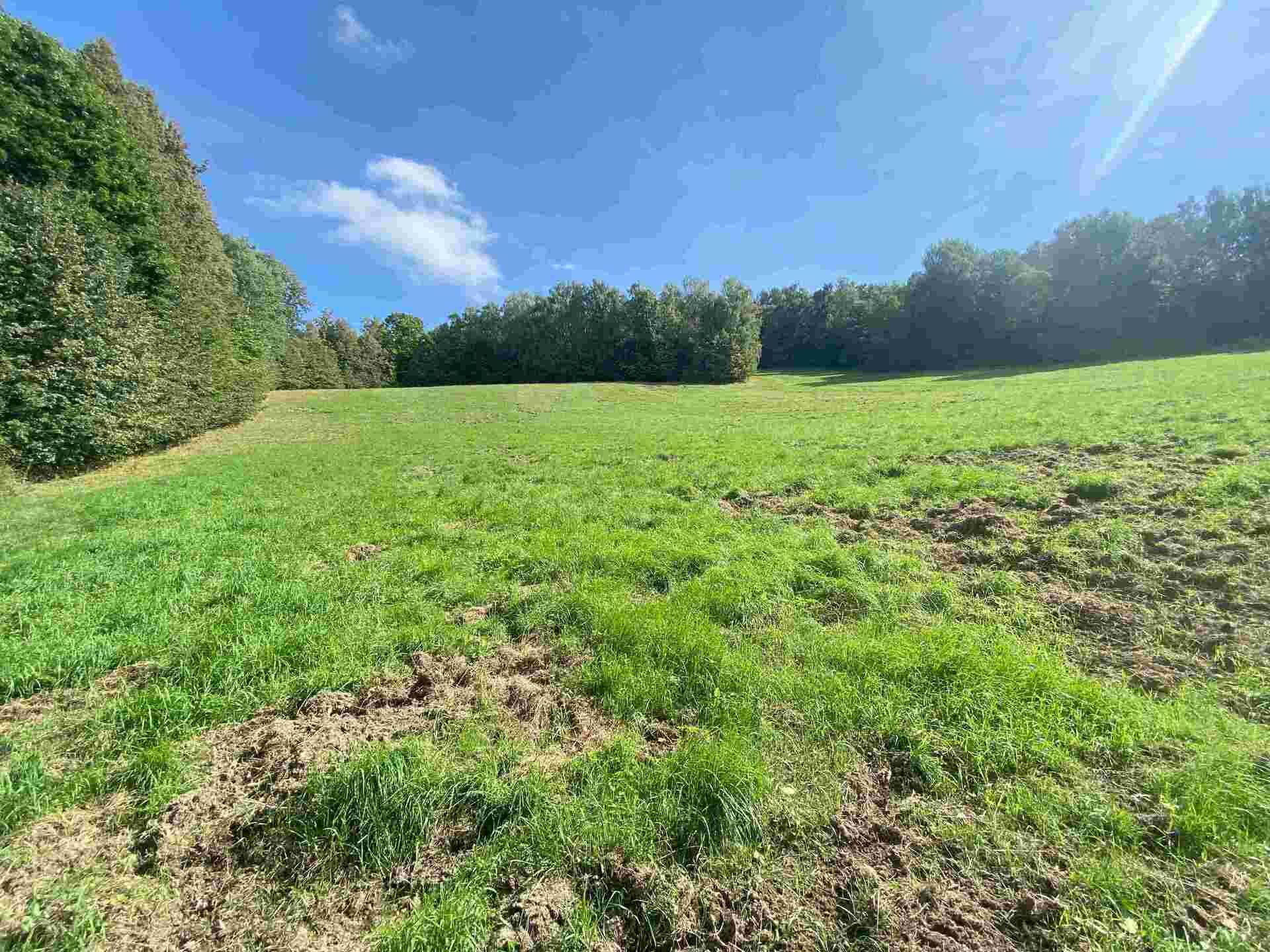 Prodej pozemku Sobotín