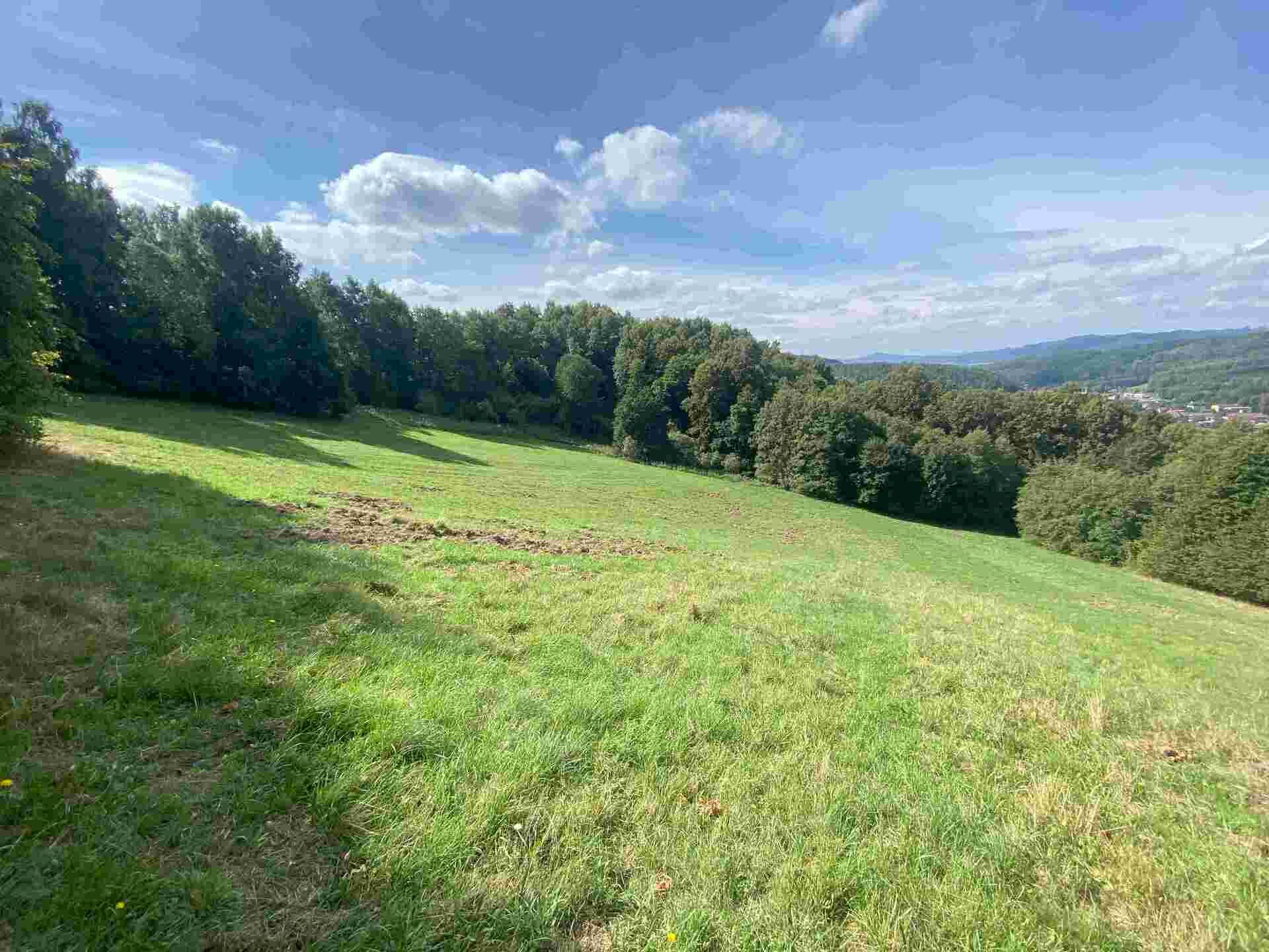 Prodej pozemku Sobotín