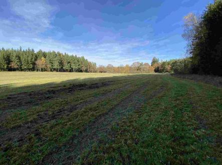 Prodej pozemku, zemědělská půda, 10 862 m²