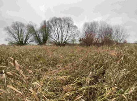 Prodej pozemku, ostatní, 4 103 m²