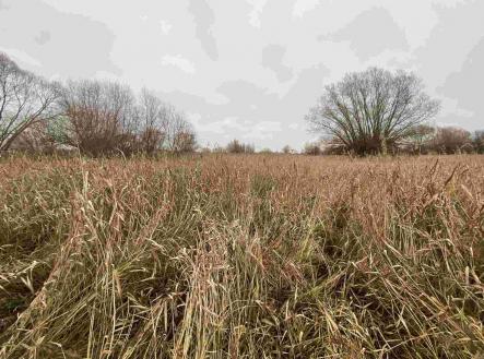 Prodej pozemku, ostatní, 4 103 m²