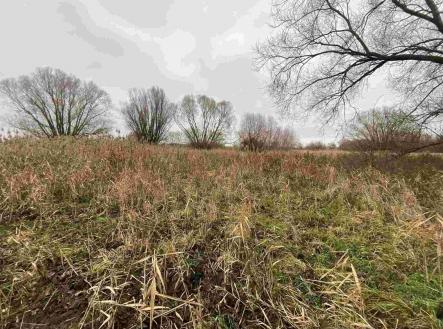 Prodej pozemku, ostatní, 4 103 m²