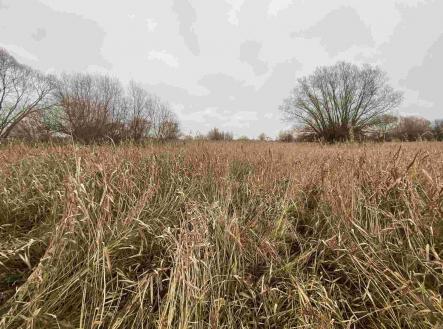 Prodej pozemku, ostatní, 4 103 m²