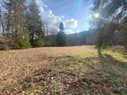 Prodej pozemku, ostatní, 2 009 m²