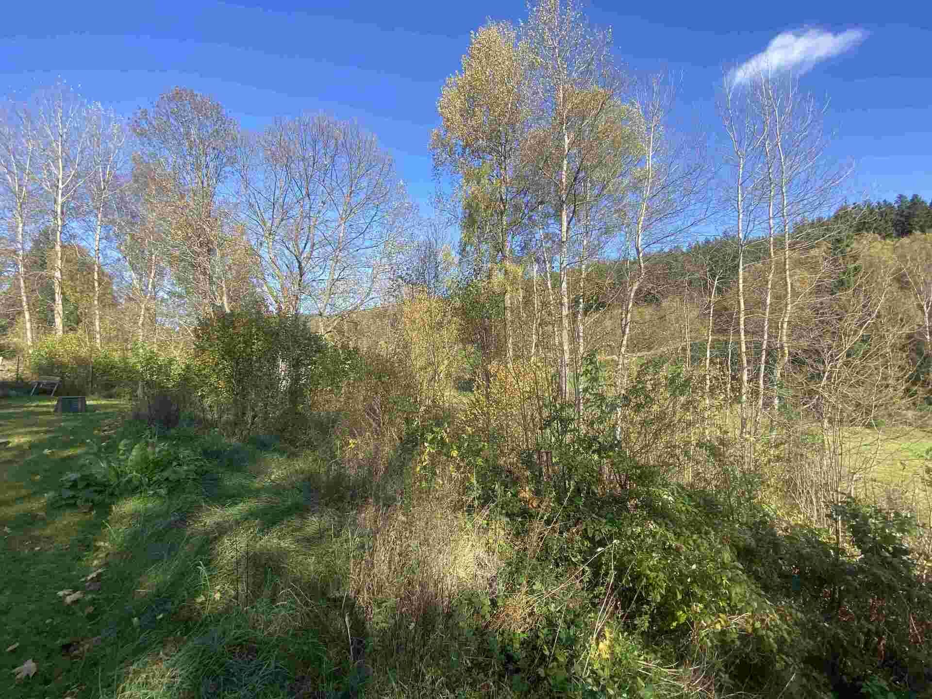 prodej pozemku k.ú. Jindřichov nad Nisou