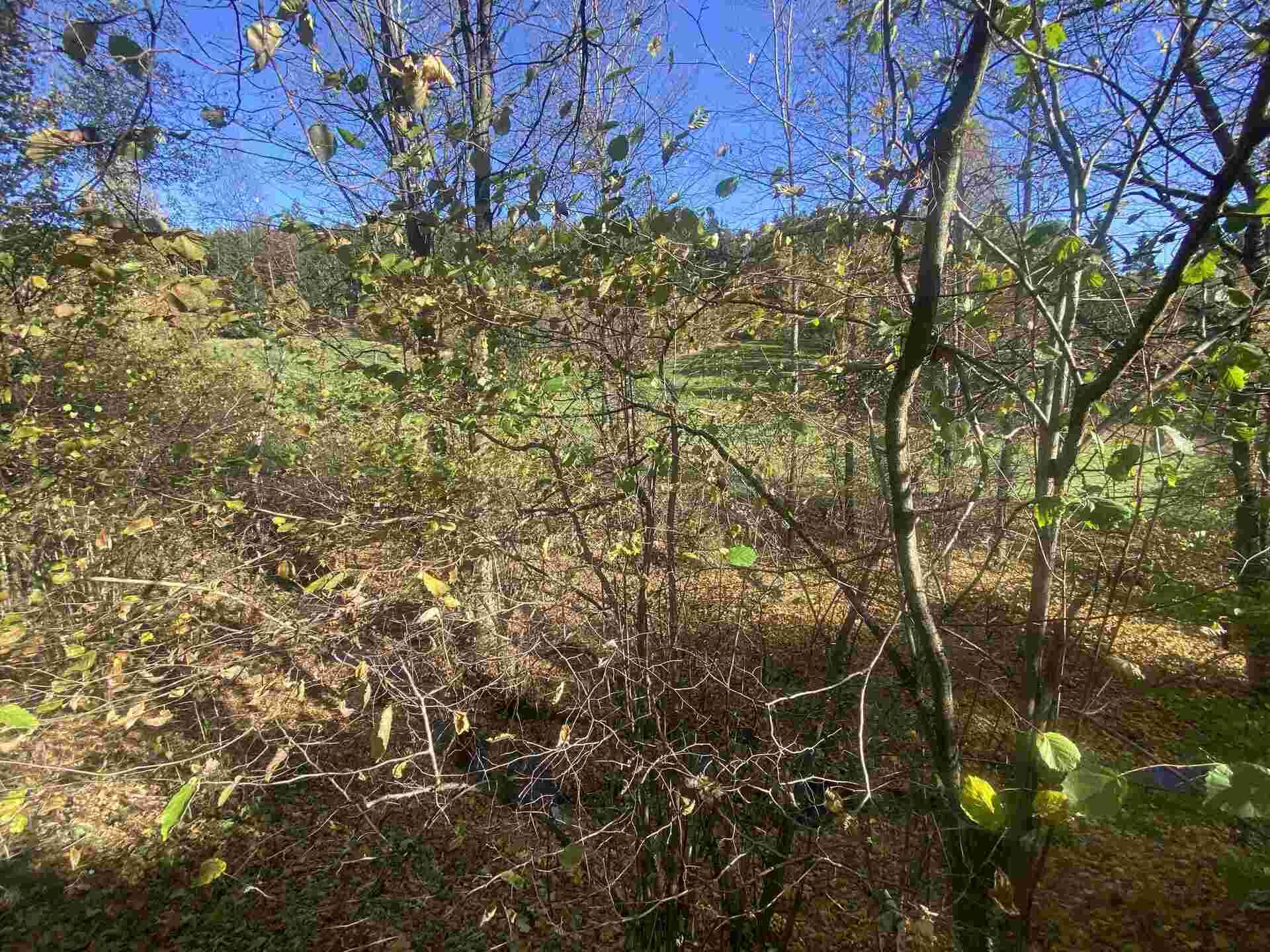 prodej pozemku k.ú. Jindřichov nad Nisou