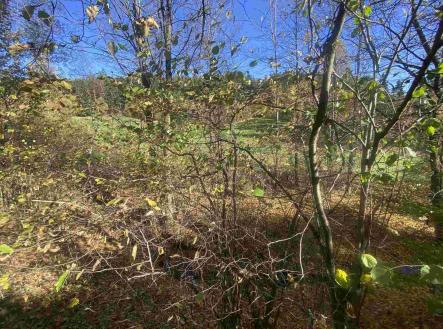 Prodej pozemku, ostatní, 449 m²