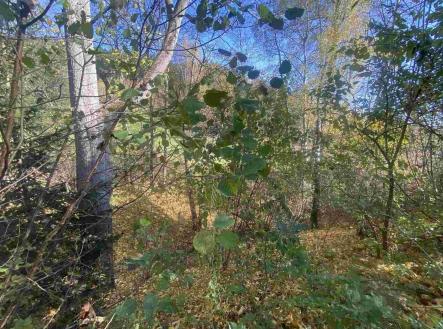 Prodej pozemku, ostatní, 449 m²