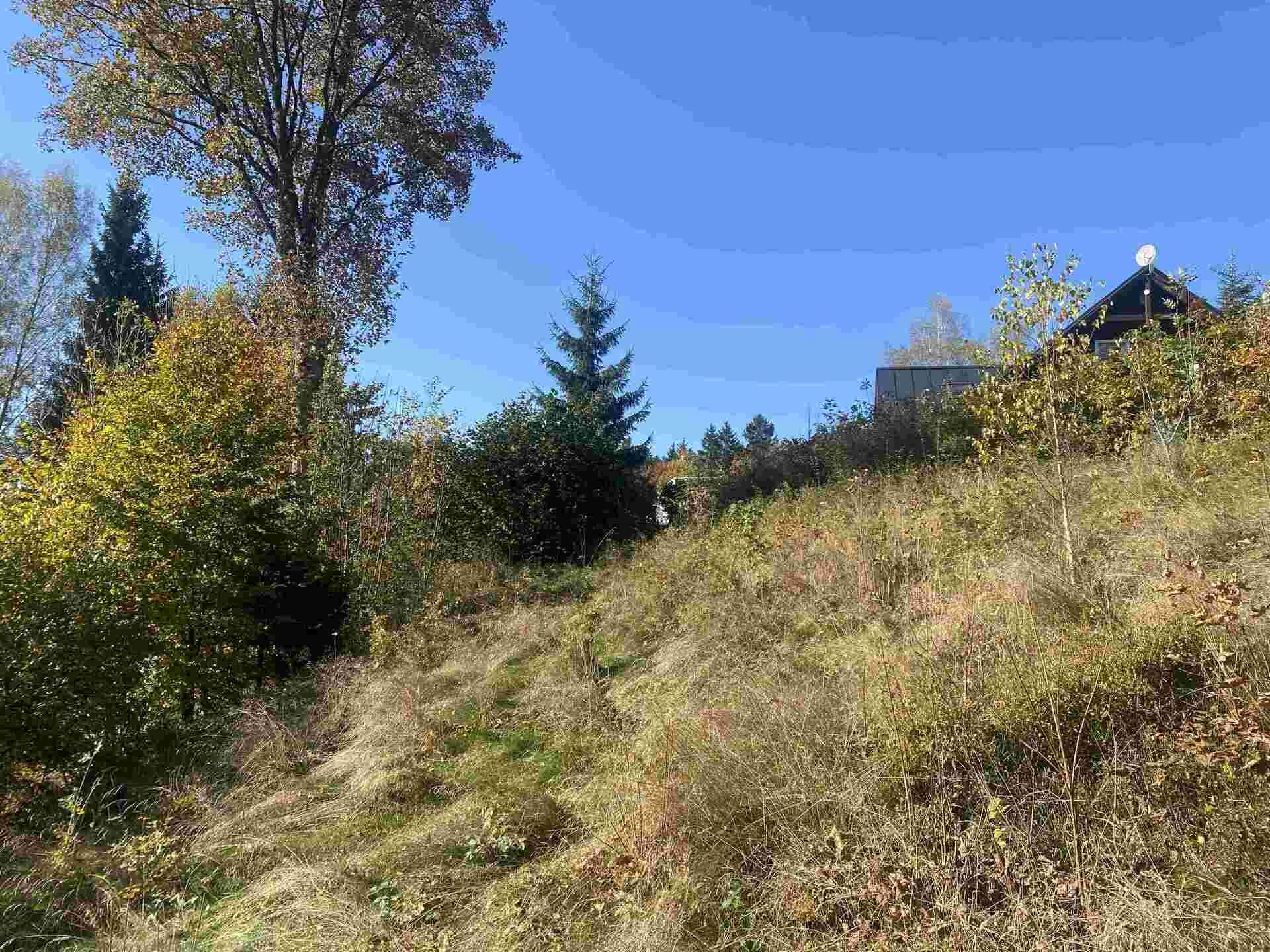 prodej pozemku k.ú. Jindřichov nad Nisou