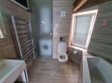 Pronájem bytu, 4+1, 130 m²